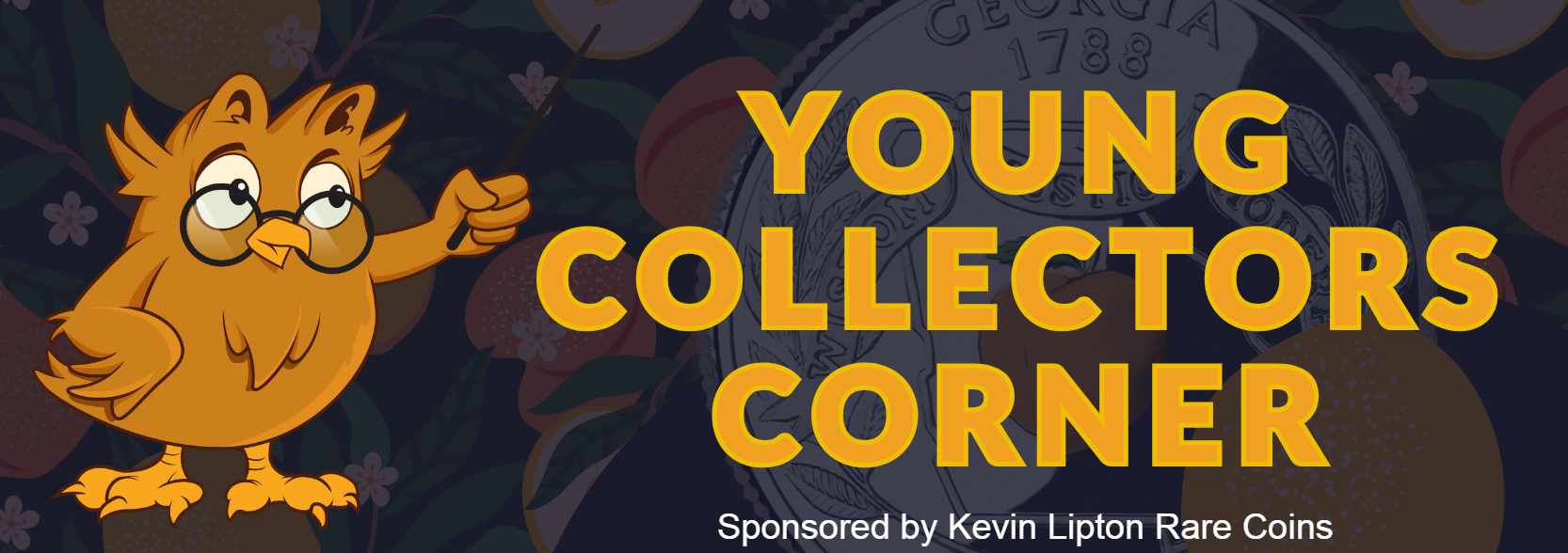 young collectors corner 2025-1